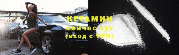 гидра Абаза