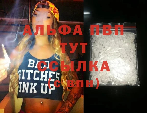гидра Абаза