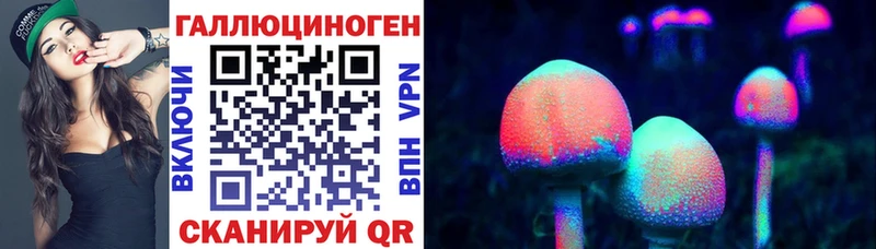 закладки  Ак-Довурак  Псилоцибиновые грибы мицелий 